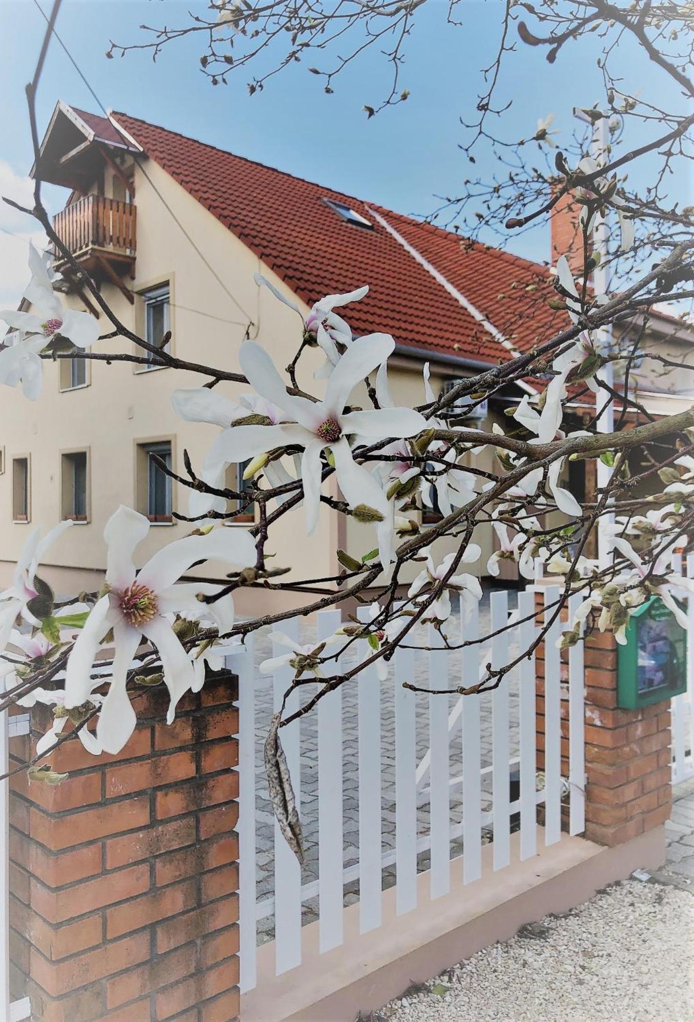 Kis Szárcsa Vendégház Hotel Gárdony Exterior foto