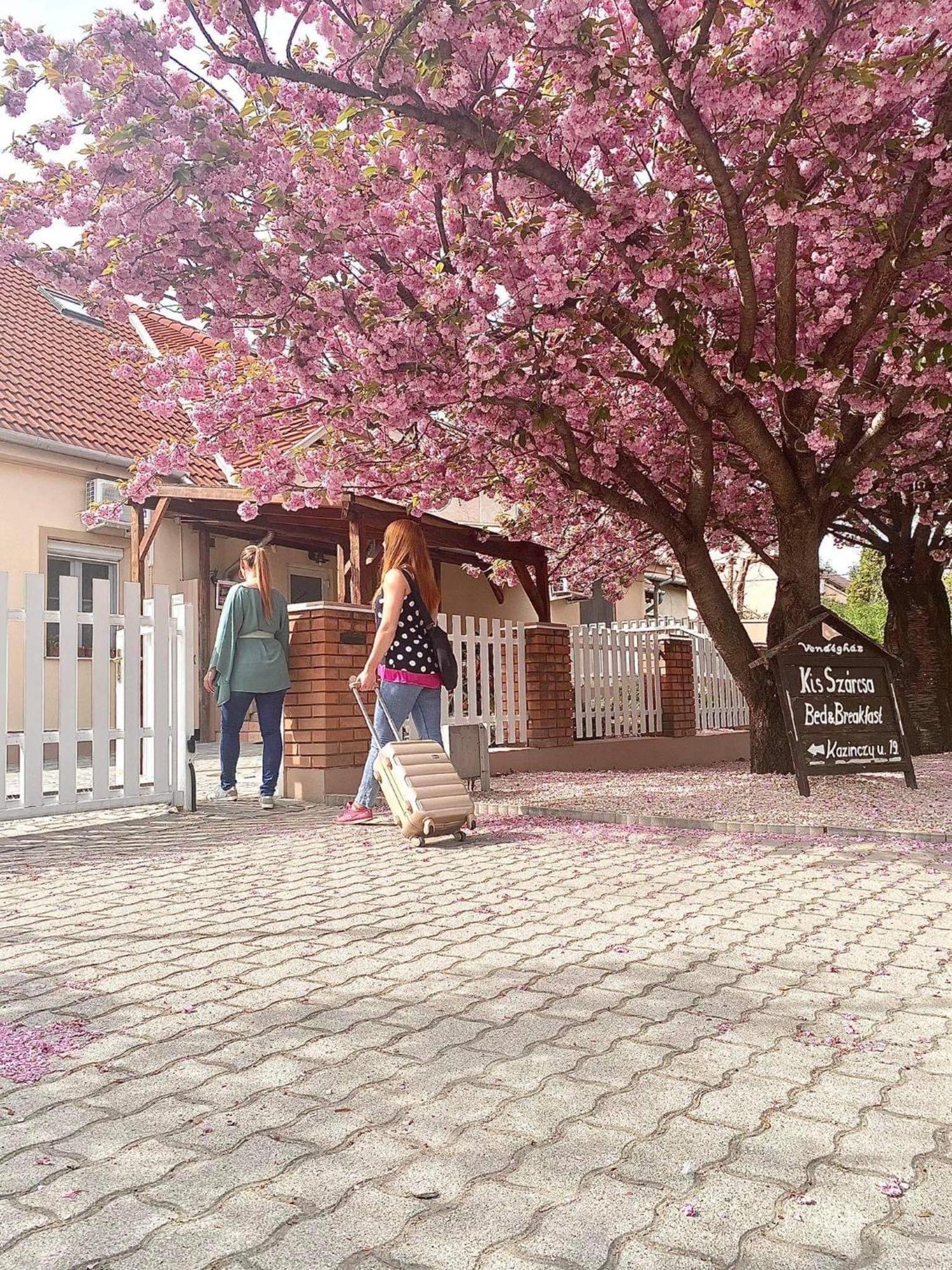 Kis Szárcsa Vendégház Hotel Gárdony Exterior foto